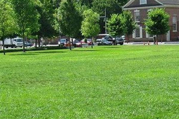 草坪的施肥方法，均匀撒施复合肥等肥料