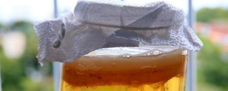 红茶菌如何制作，糖、茶和水要按比例准备好