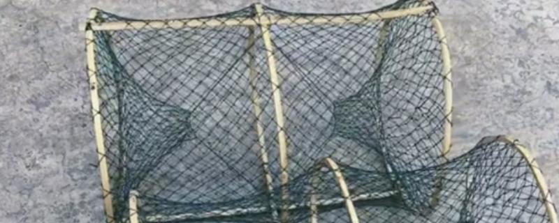 春天怎样用花篮捕鲫鱼，通常需将花篮放在近岸处