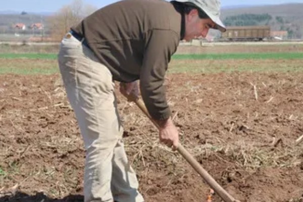 整地要注意什么，田洼地和粘土地适合秋翻