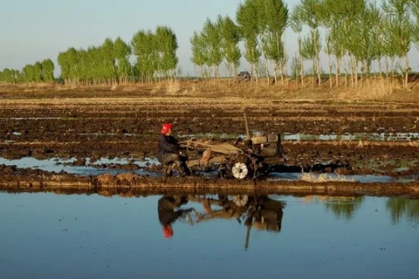 整地要注意什么，田洼地和粘土地适合秋翻