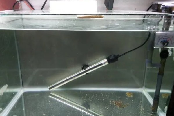 冬天鱼缸水温是多少,将温度保持在15℃以上