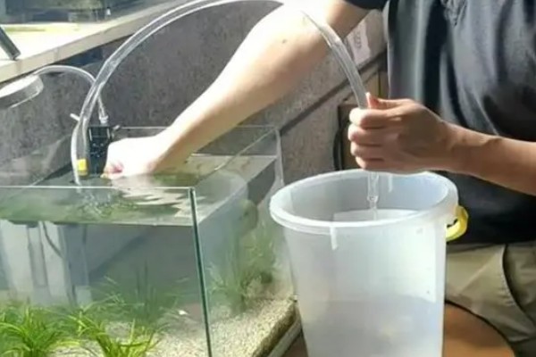 冬天鱼缸水温是多少,将温度保持在15℃以上