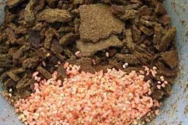 钓草鱼饵料配方，推荐以下4种