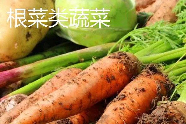 蔬菜的种类，主要分为以下7种