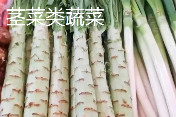 蔬菜的种类，主要分为以下7种
