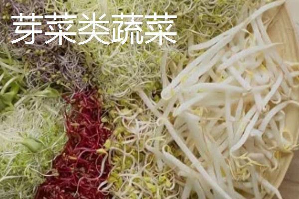 蔬菜的种类，主要分为以下7种