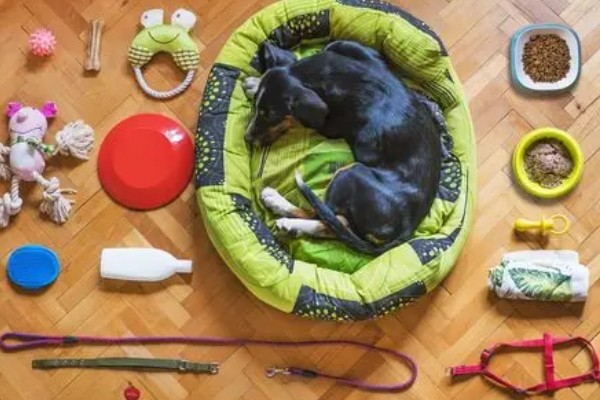 饲养犬猫的必备物品，有窝、粮食等