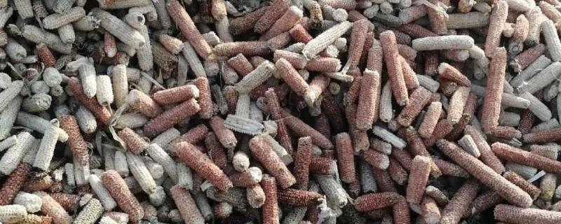 玉米芯怎么做饲料，首先要用粉碎机对玉米芯进行加工