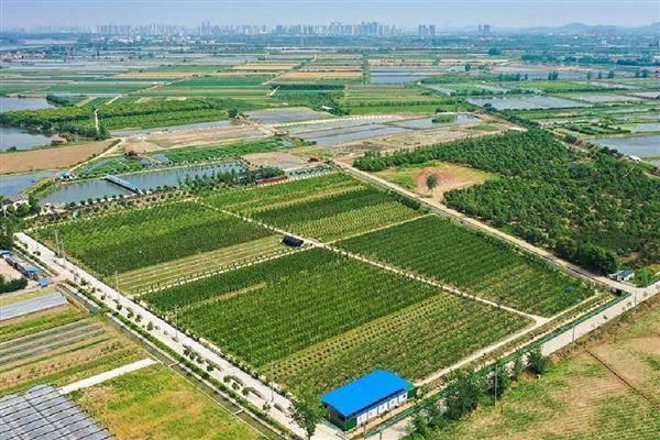 申请全国农村创新创业优秀带头人的条件，在农村新产业等发展上取得突出成绩