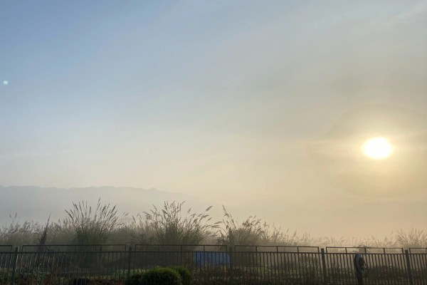 惊蛰适合种哪些农作物，适合种韭菜、大葱等