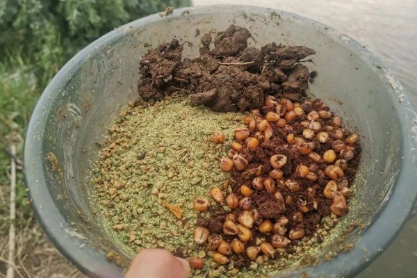 黄辣丁好不好钓，垂钓效果比较好