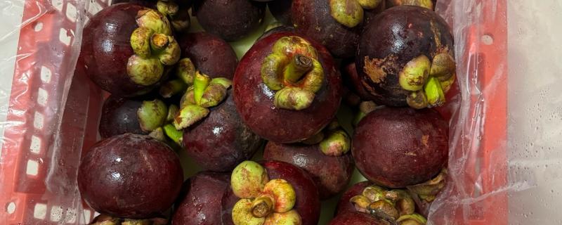 泰国有什么特色水果，山竹、榴莲等品种很具特色