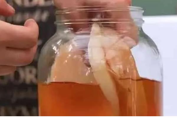 红茶菌如何制作，糖、茶和水要按比例准备好