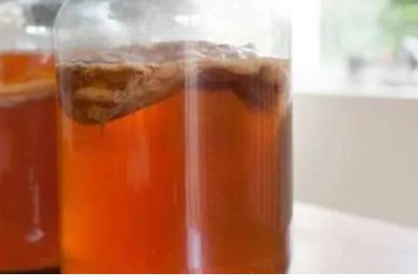 红茶菌如何制作，糖、茶和水要按比例准备好