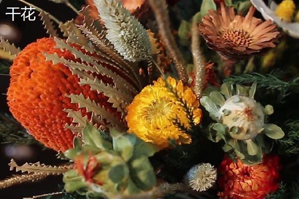 永生花与干花的区别，制作工艺和手感均不同
