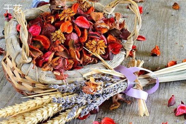 永生花与干花的区别，制作工艺和手感均不同
