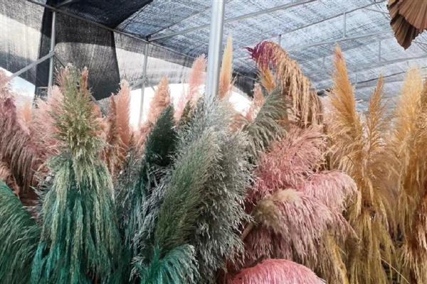 永生花与干花的区别，制作工艺和手感均不同