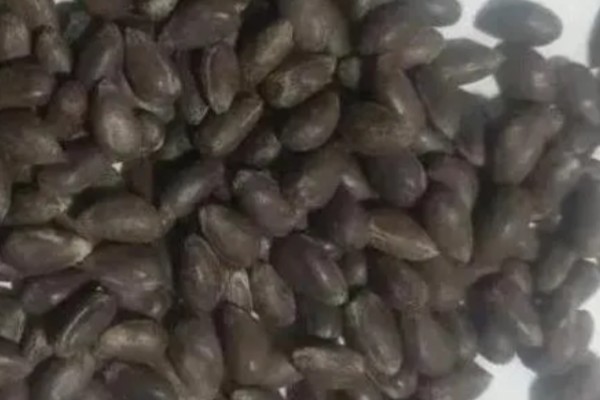 棉花有什么用途，主要有以下10种作用