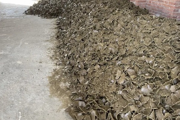 棉花有什么用途，主要有以下10种作用