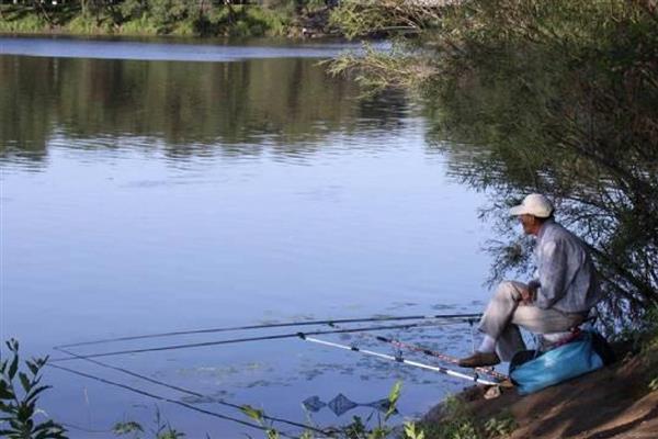 什么鱼钩的中鱼率最高，推荐伊豆钩、伊势尼钩等