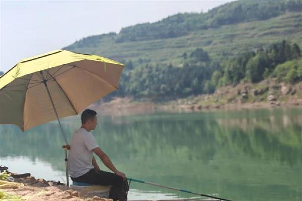 什么鱼钩的中鱼率最高，推荐伊豆钩、伊势尼钩等