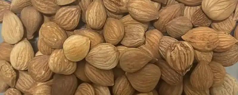 苦杏仁要施什么肥，要施用复合肥、果树专用肥等