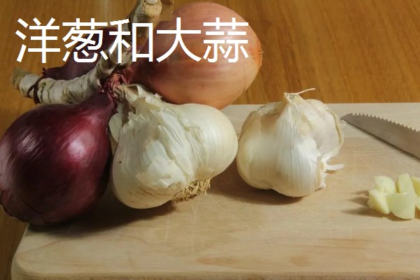 猫不能吃什么东西，洋葱、大蒜等食物禁止饲喂