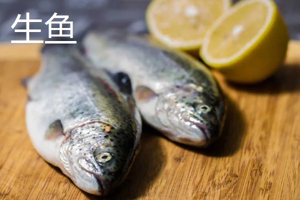 猫不能吃什么东西，洋葱、大蒜等食物禁止饲喂