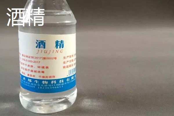 猫不能吃什么东西，洋葱、大蒜等食物禁止饲喂