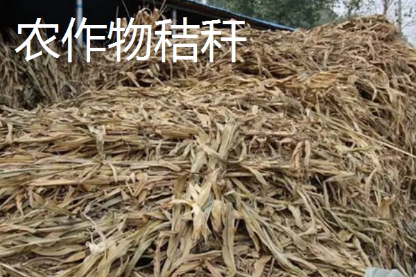 有机肥料有什么作用,可提供多种营养