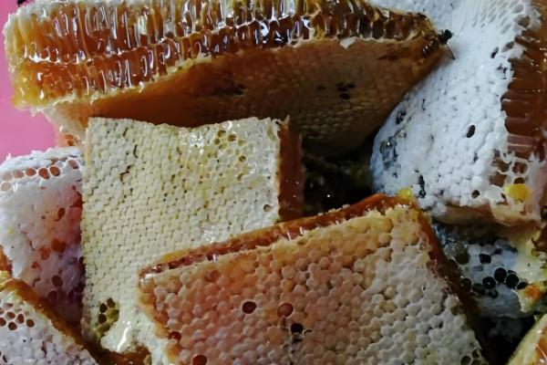 广西乐业县的特产,有乐业猕猴桃、乐业野生刺梨等种类