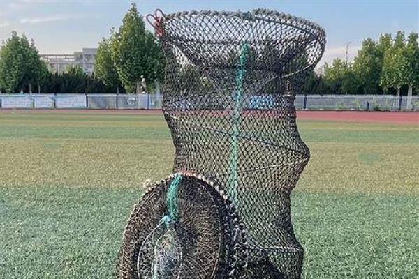 春天怎样用花篮捕鲫鱼，通常需将花篮放在近岸处