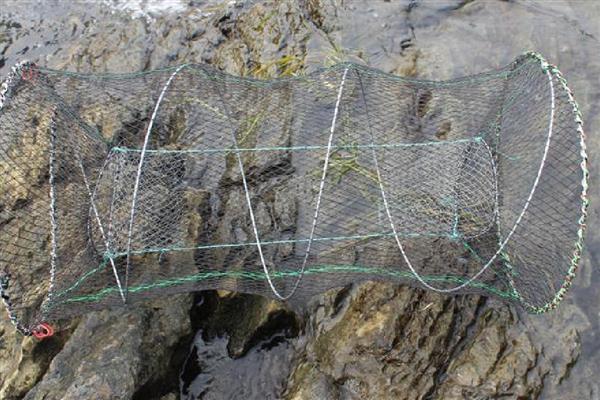 春天怎样用花篮捕鲫鱼，通常需将花篮放在近岸处