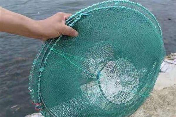 春天怎样用花篮捕鲫鱼，通常需将花篮放在近岸处