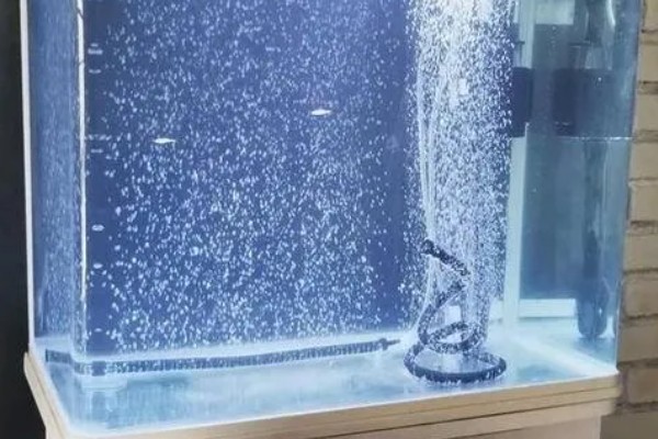 鱼缺氧有什么症状，会出现浮头、鱼体倾斜等情况