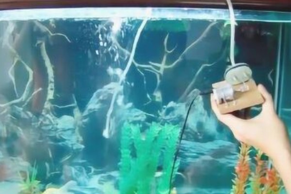 鱼缺氧有什么症状，会出现浮头、鱼体倾斜等情况