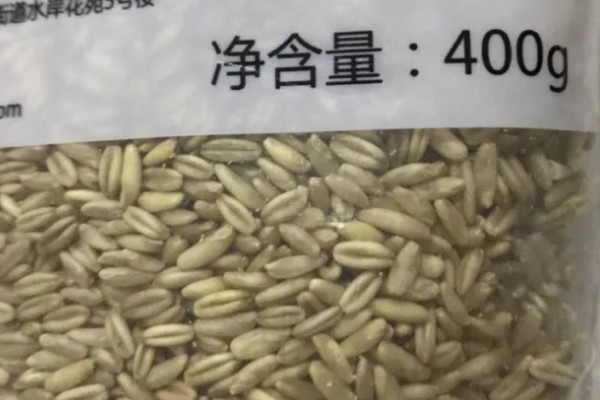 燕麦主产于哪里,以北纬41-43°的地区为主