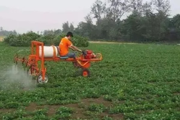 使用敌百虫要注意什么，稀释后要做到现配现用