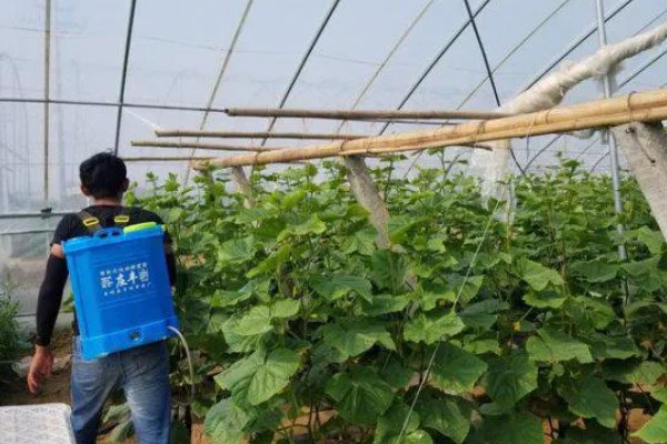 使用敌百虫要注意什么，稀释后要做到现配现用