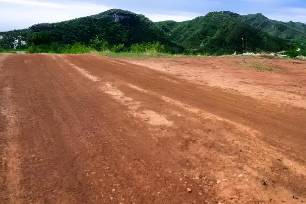 地骨皮如何种植，可通过种子繁殖和扦插繁殖