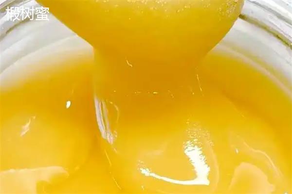 雪脂莲蜜好还是椴树蜜好,色泽和口感都很接近