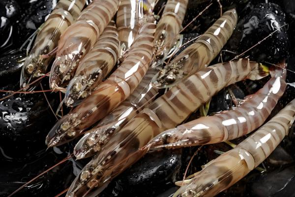 基围虾与明虾有什么区别，生长环境、外观、体型均不同