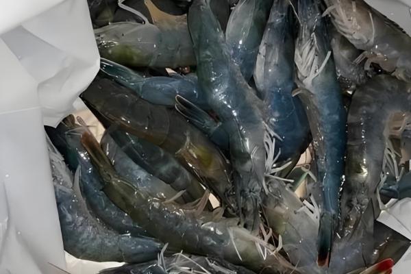 基围虾与明虾有什么区别，生长环境、外观、体型均不同