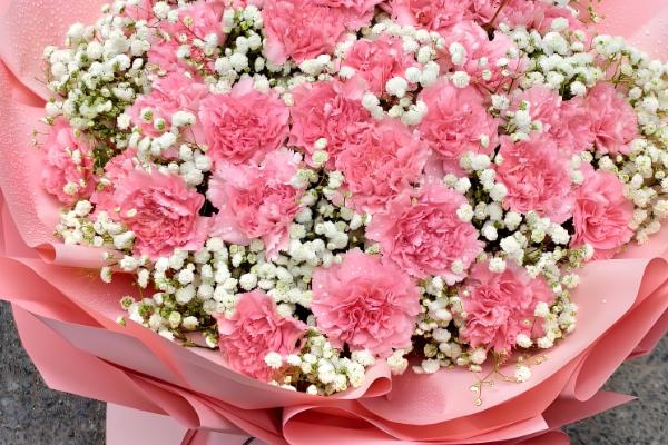 护士节送什么花合适，适合送马蹄莲、紫罗兰等