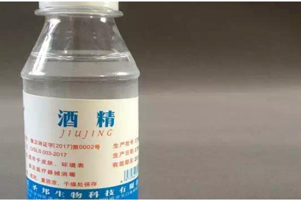 养猫后不能养哪些植物，误食百合花、水仙花等植物可能会致死