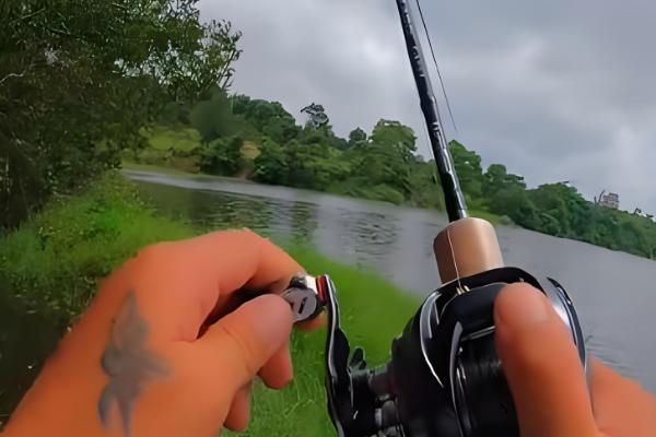 下雨天黑鱼会上浮吗，下雨天黑鱼会上浮
