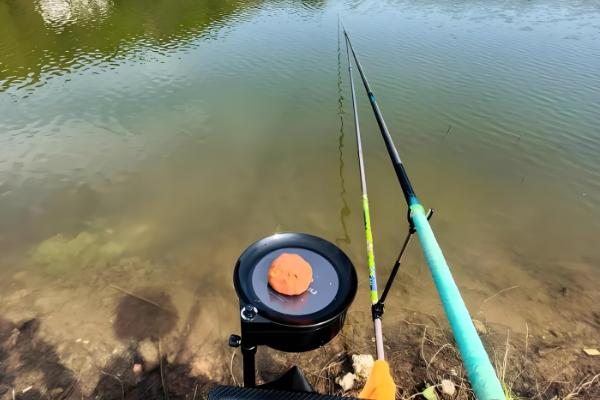 下雨天黑鱼会上浮吗，下雨天黑鱼会上浮