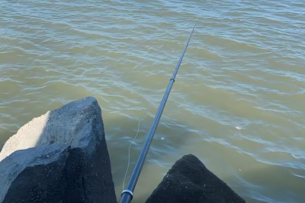 下雨天黑鱼会上浮吗，下雨天黑鱼会上浮
