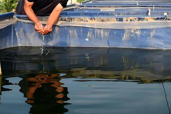 水蛭养殖要办什么证，要办理动物防疫条件合格证